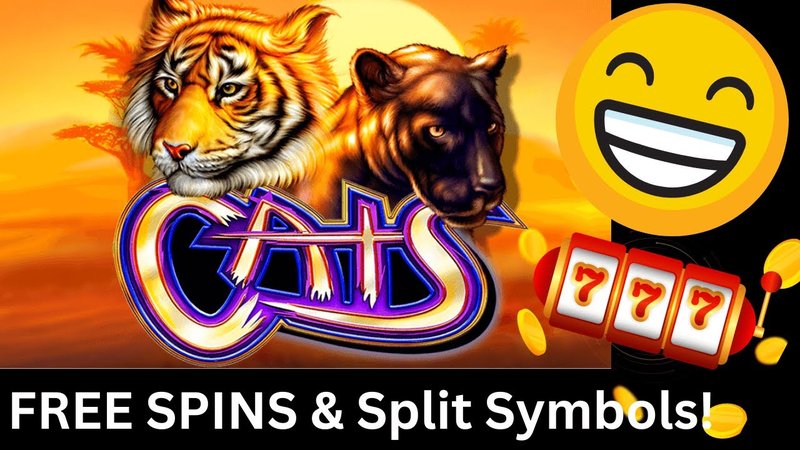 A look at catspins bonus codes A look at catspins bonus codes